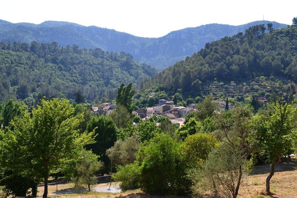 Cosy Provencal Apartment Belgentier ภายนอก รูปภาพ