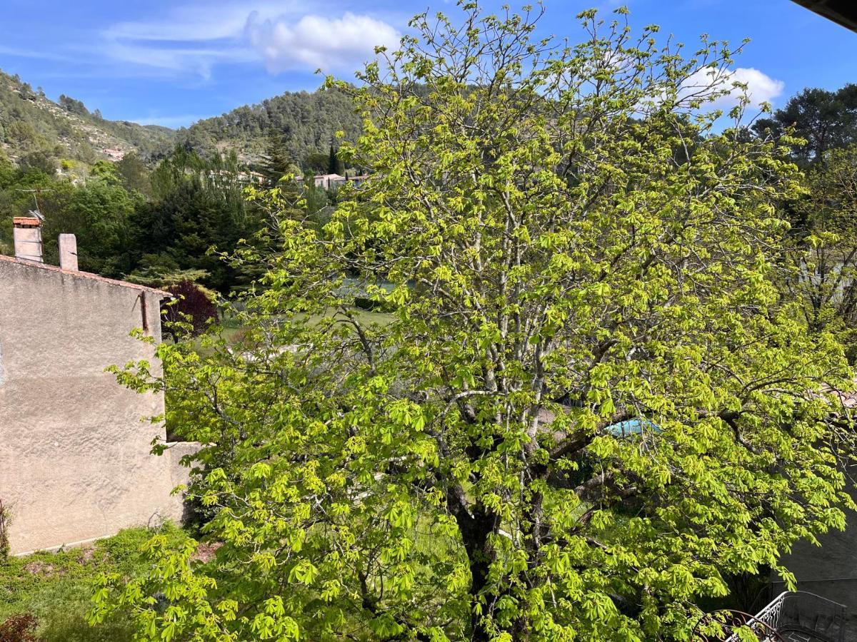 Cosy Provencal Apartment Belgentier ภายนอก รูปภาพ